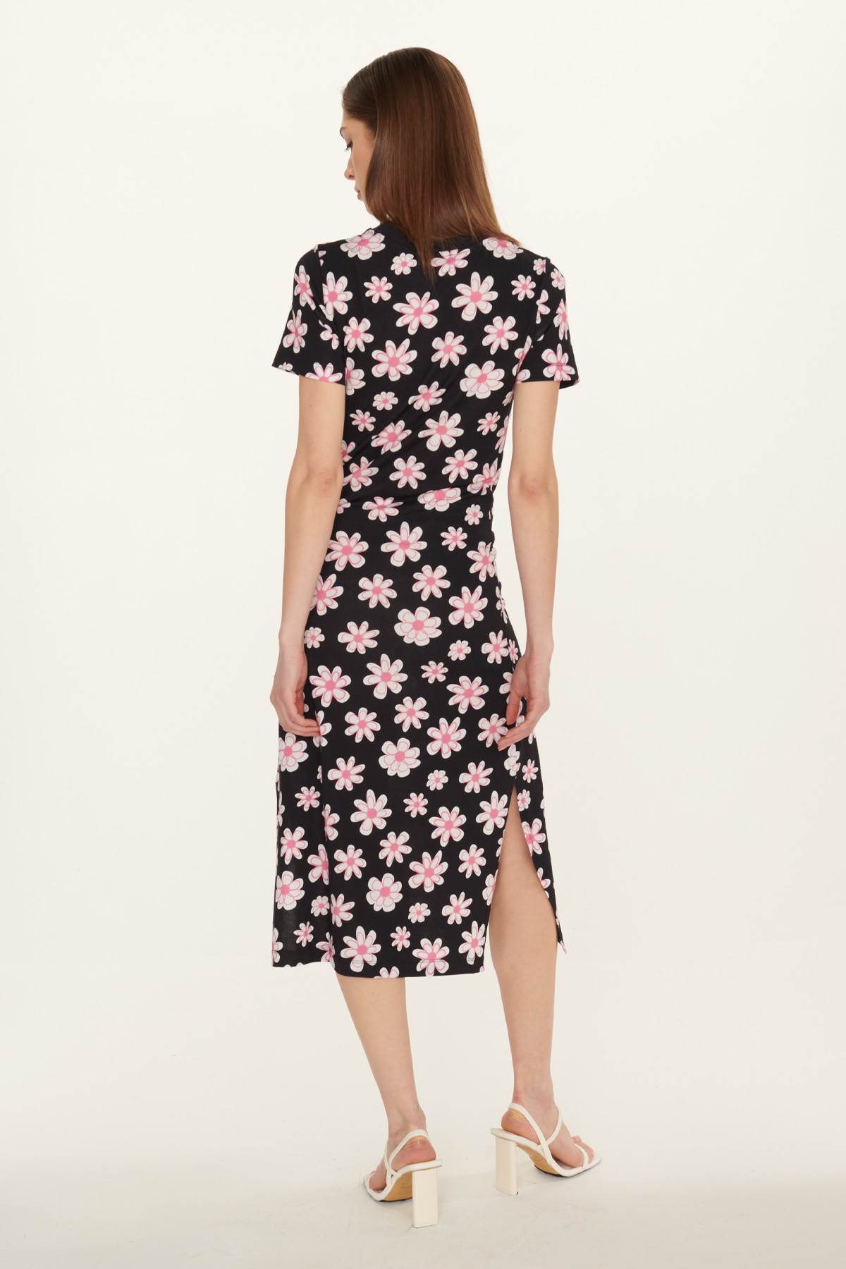 pink_daisy