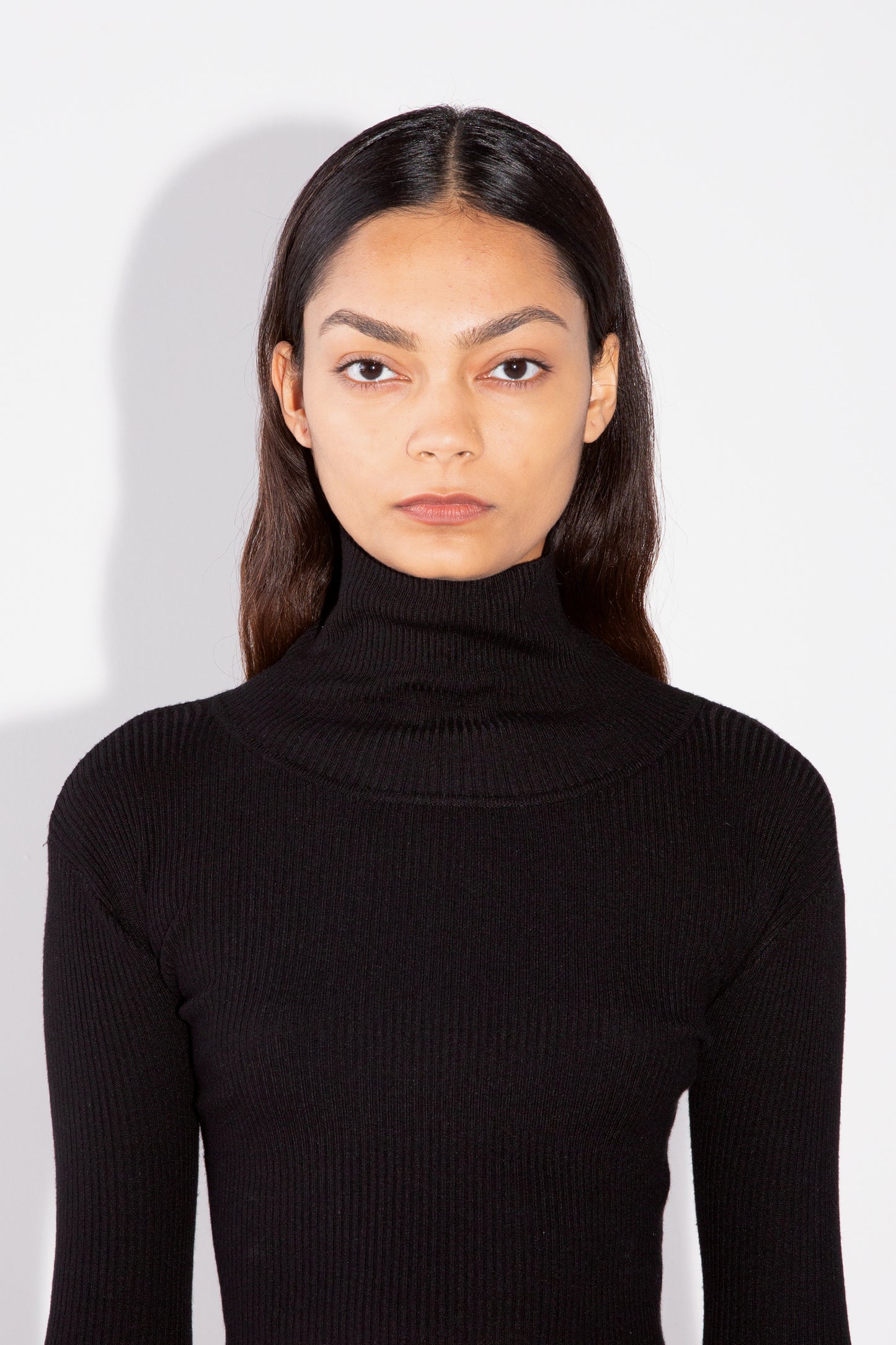 CROPPED TURTLENECK