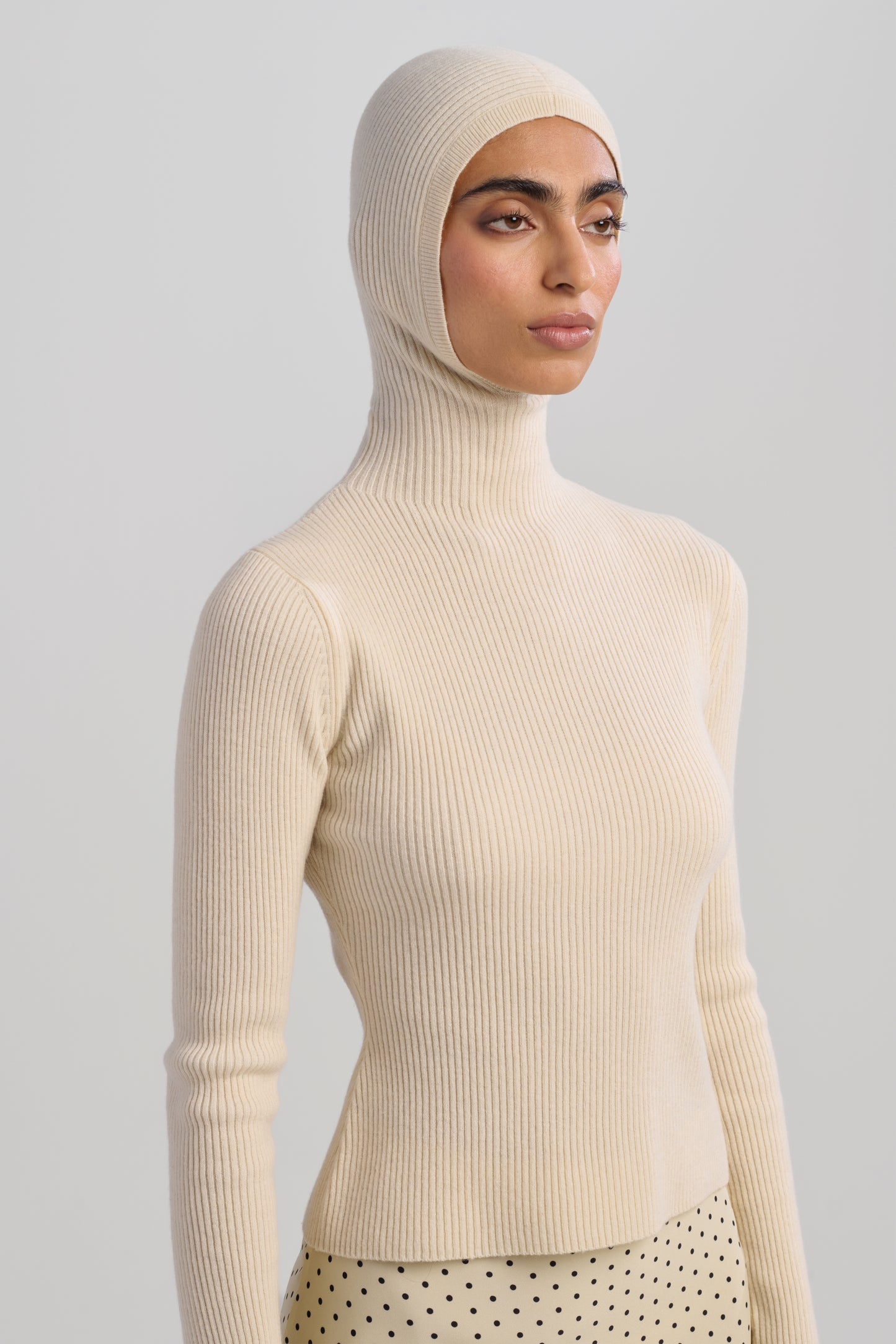 Audrey Turtleneck