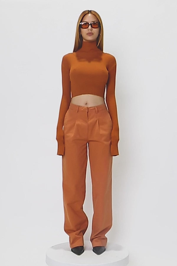 Cropped Turtleneck